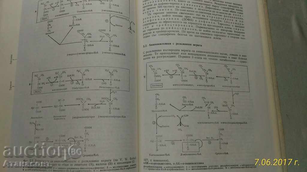 Boli ale metabolismului la copii - 6