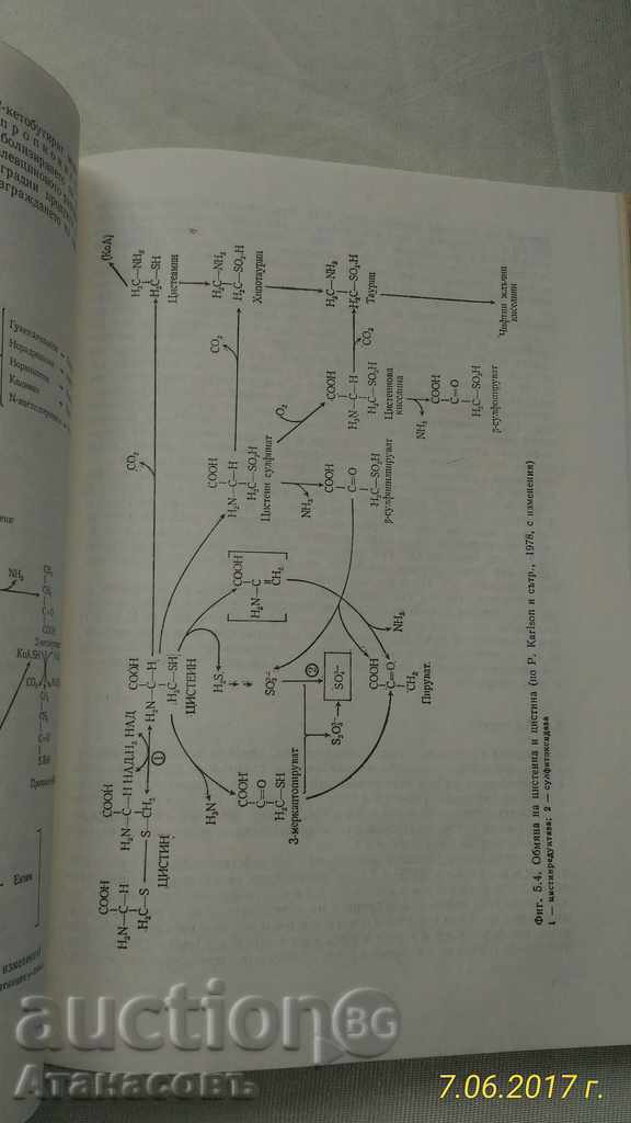 Ασθένειες του μεταβολισμού σε παιδιά - 7 Ασθένειες του μεταβολισμού σε παιδιά - 7