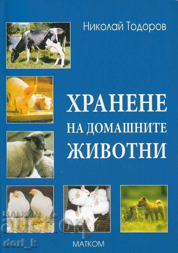 Feeding pets Feeding pets