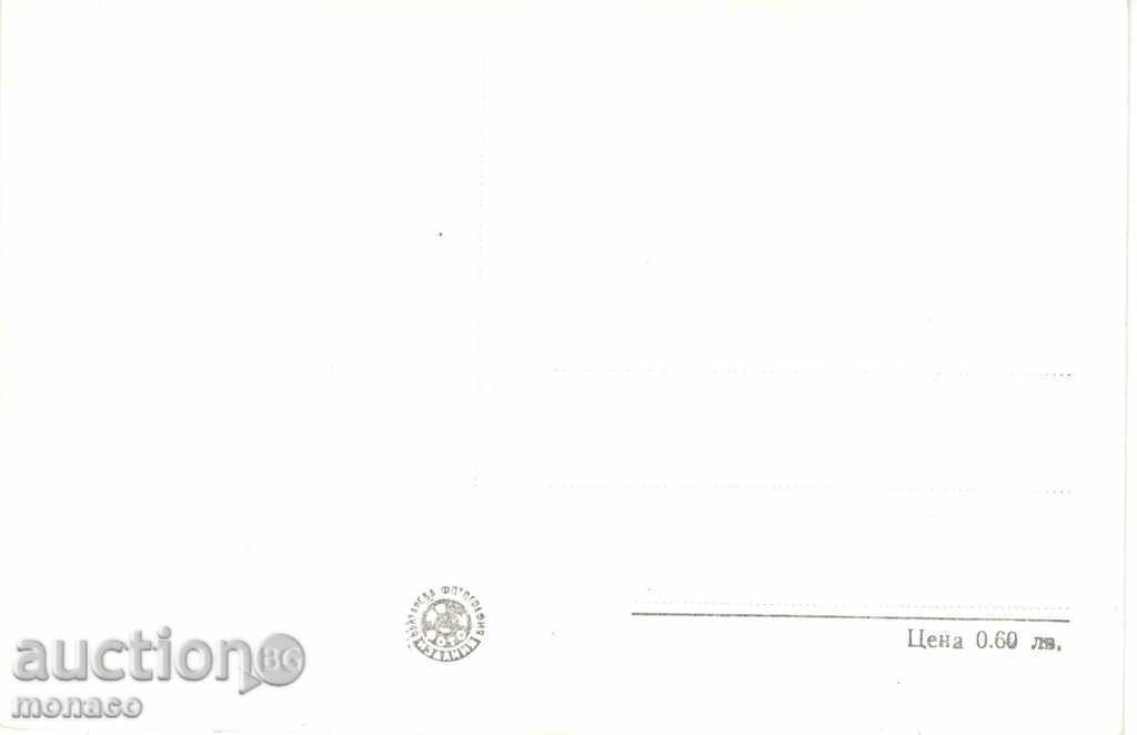 Old postcard - Nessebar, Holiday home of the Center with price 2.00 BGN | € 1.02 Old postcard - Nessebar, Holiday home of the Center with price 2.00 BGN | € 1.02