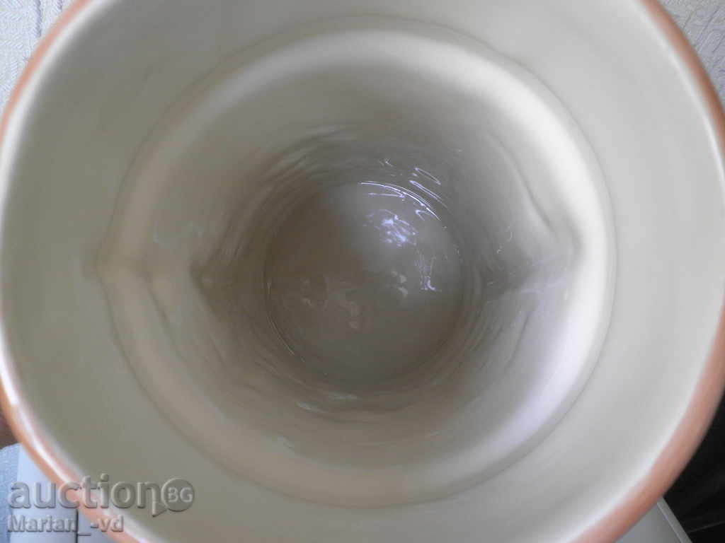 halbă mare și frumoasă germană - 7