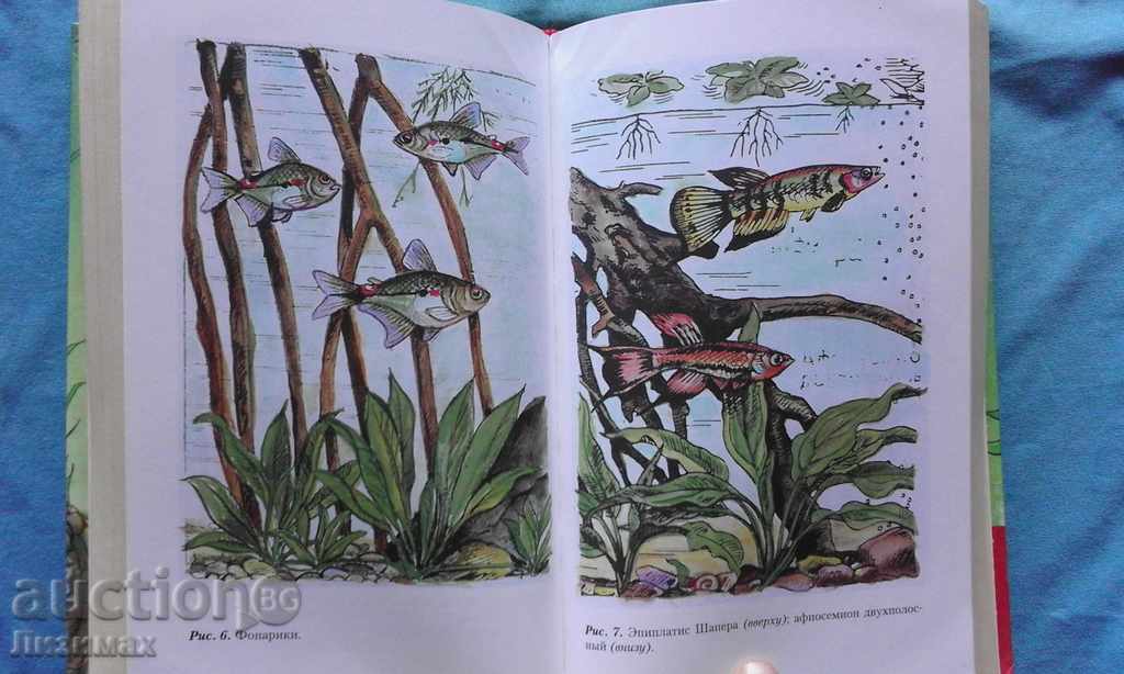 Искусство аквариумного рыбоводства - А.Базанов - 5 Искусство аквариумного рыбоводства - А.Базанов - 5