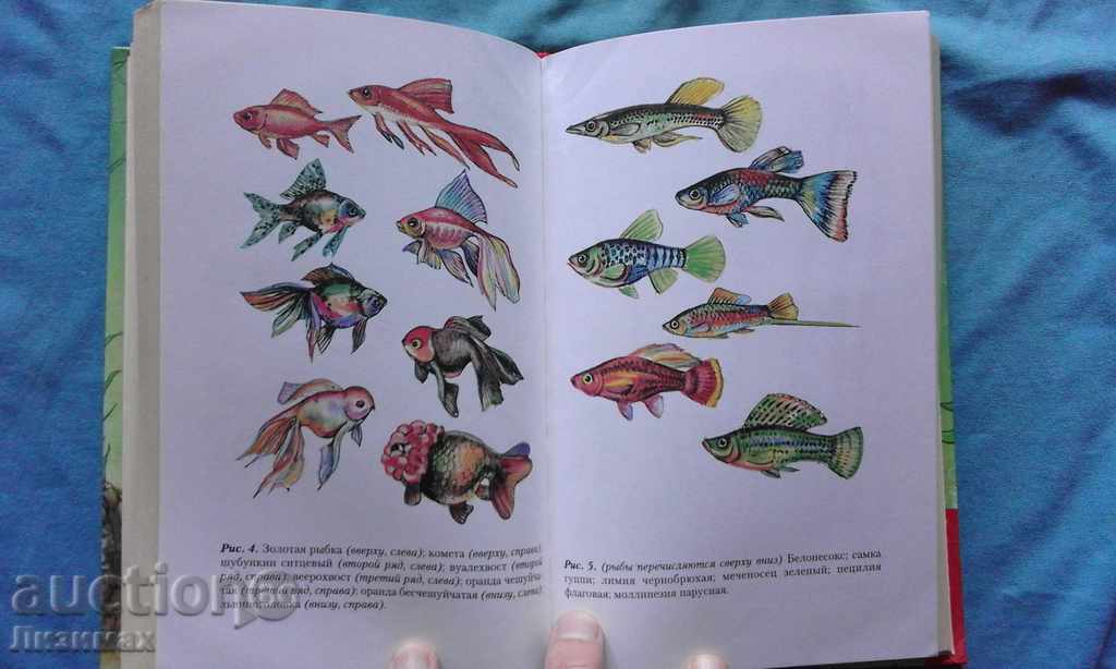 Искусство аквариумного рыбоводства - А.Базанов - 6 Искусство аквариумного рыбоводства - А.Базанов - 6