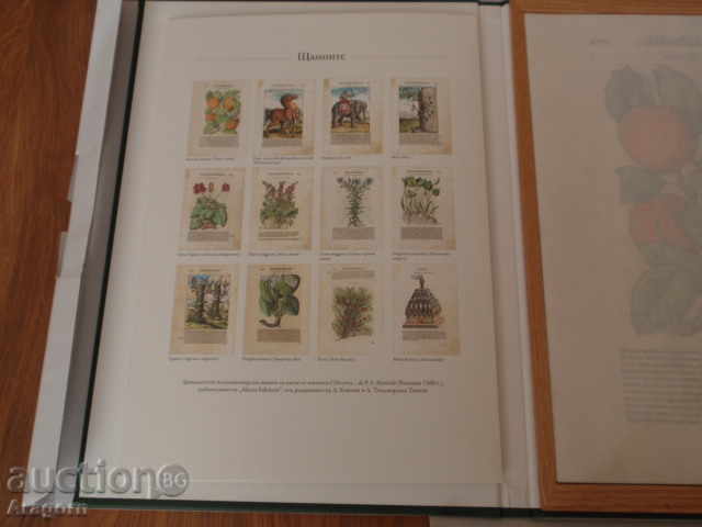 Auction 12 collectible prints "I DISCORSI DI P.A. MATTIOLI" Auction 12 collectible prints "I DISCORSI DI P.A. MATTIOLI"