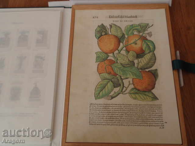 Delivery of 12 collectible prints "I DISCORSI DI P.A. MATTIOLI" Delivery of 12 collectible prints "I DISCORSI DI P.A. MATTIOLI"