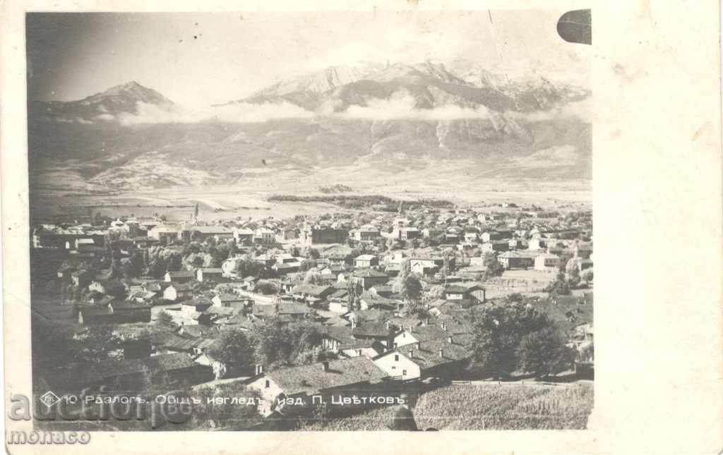 Стара пощенска картичка - Разлогъ, Общъ изгледъ №10