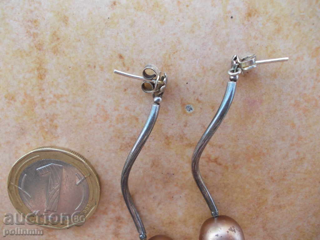 Auction  Silver Earrings - 1