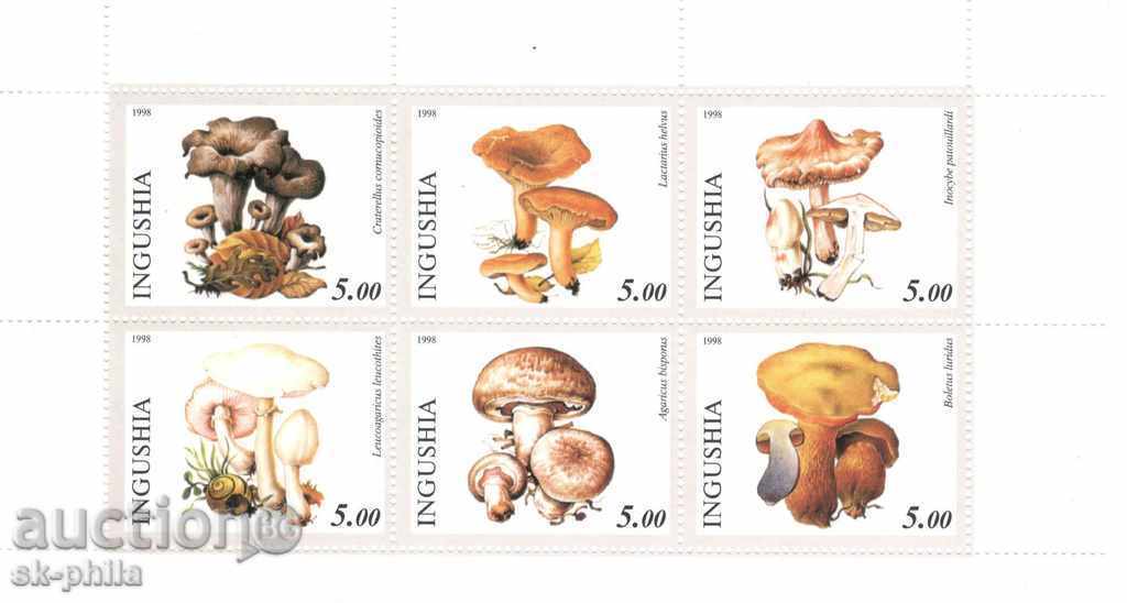 Postage stamps - Russia, Ingushetia, Mushrooms