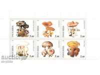 Postage stamps - Russia, Ingushetia, Mushrooms
