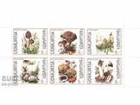 Postage Stamps - Russia, Udmurtia, Mushrooms