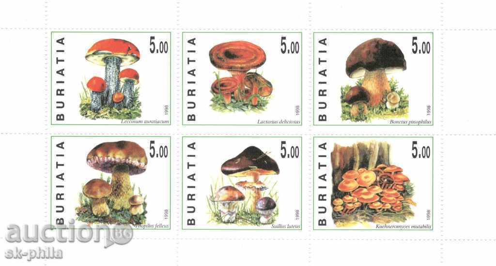 Γραμματόσημα - Ρωσία, Buryatia, Μανιτάρια
