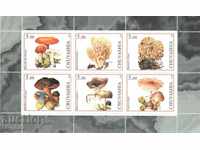 Пощенски марки - Русия, Чувашия, Гъби