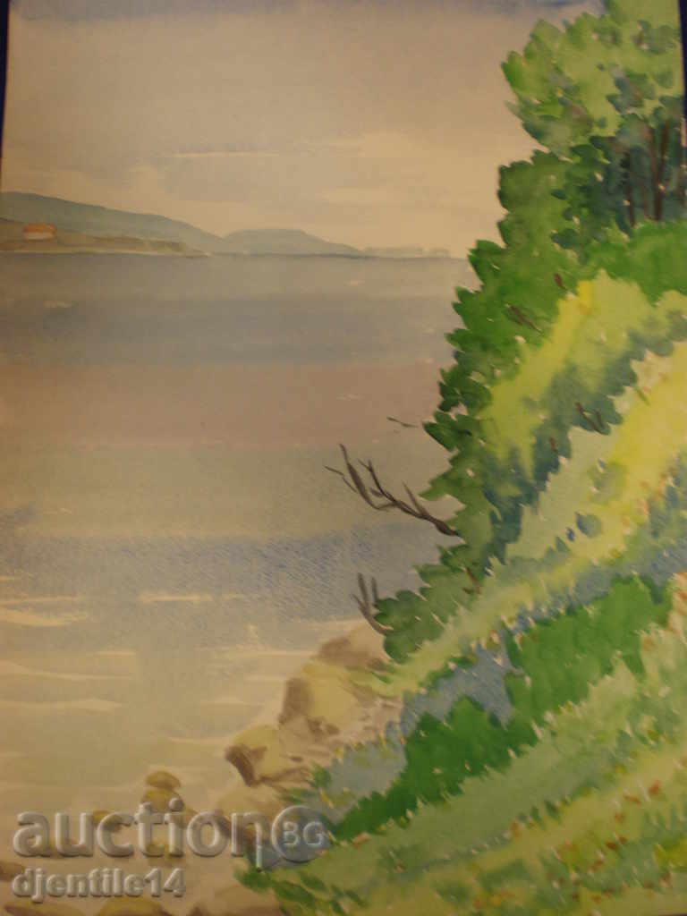 Watercolor - M.M.C "G. Dimitrov" - Dr. N. Stefanov with price 40.00 BGN | € 20.45 Watercolor - M.M.C "G. Dimitrov" - Dr. N. Stefanov with price 40.00 BGN | € 20.45