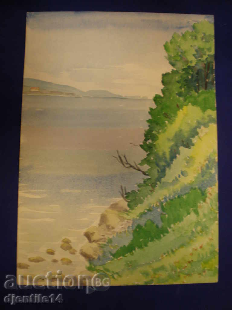 Акварел-М.М.Ц"Г.Димитров"- Д-р Н.Стефанов