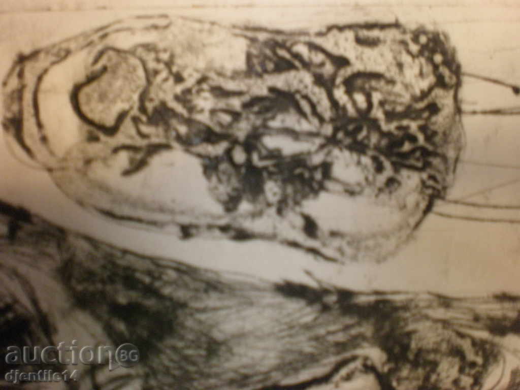 Licitație imprima Licitație imprima