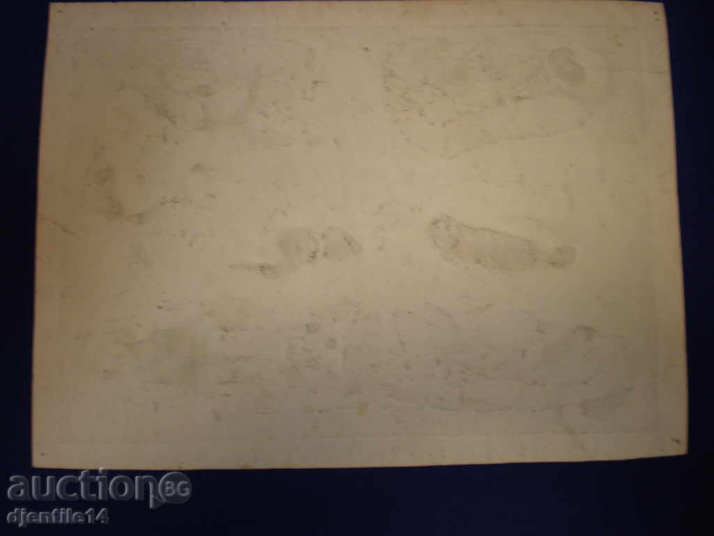 imprint - 5 imprint - 5