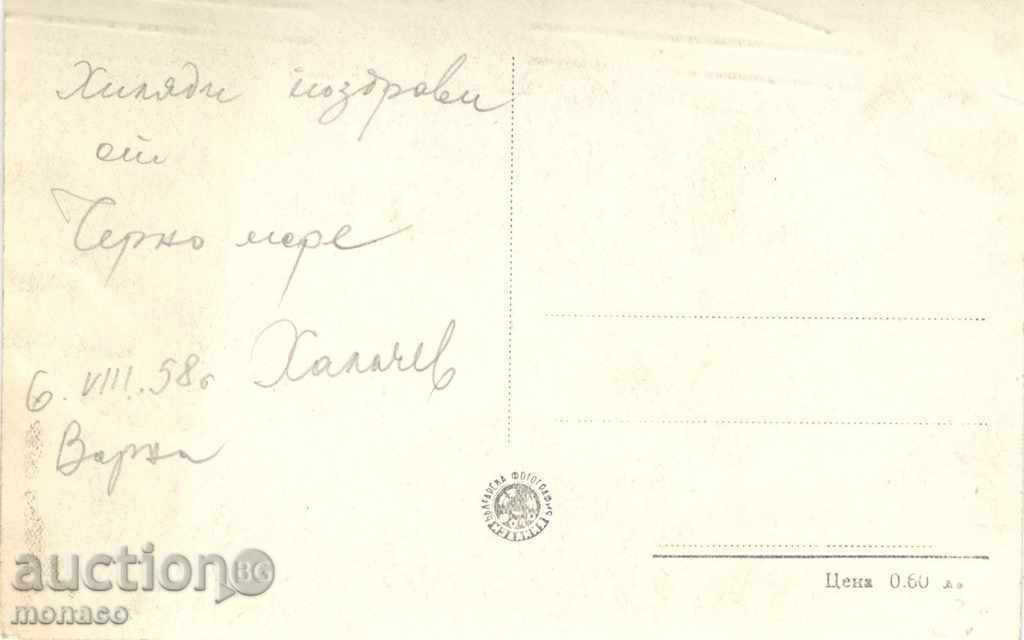 Old postcard - Varna, Moonlit night with price 1.80 BGN | € 0.92 Old postcard - Varna, Moonlit night with price 1.80 BGN | € 0.92