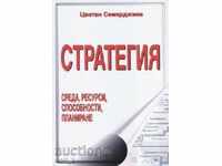 Стратегия