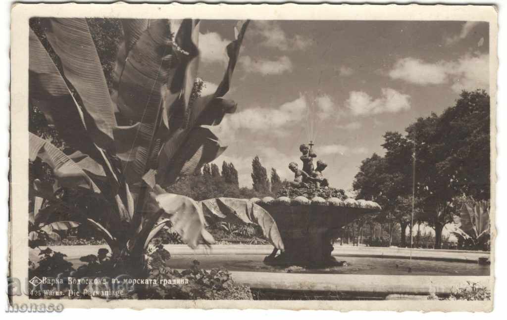 Antique postcard - Varna, Sea Garden