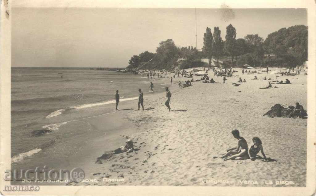 Стара пощенска картичка - Летовище Варна, Плажът