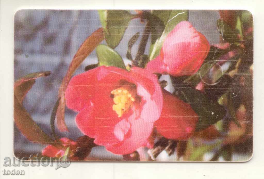Phonecard> Flowers 2 with price 0.50 BGN | € 0.26 Phonecard> Flowers 2 with price 0.50 BGN | € 0.26