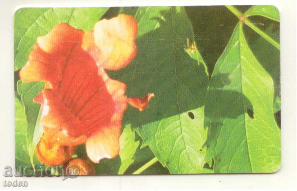 Phonecard> Flowers - Puzzle 3/4 with price 0.50 BGN | € 0.26