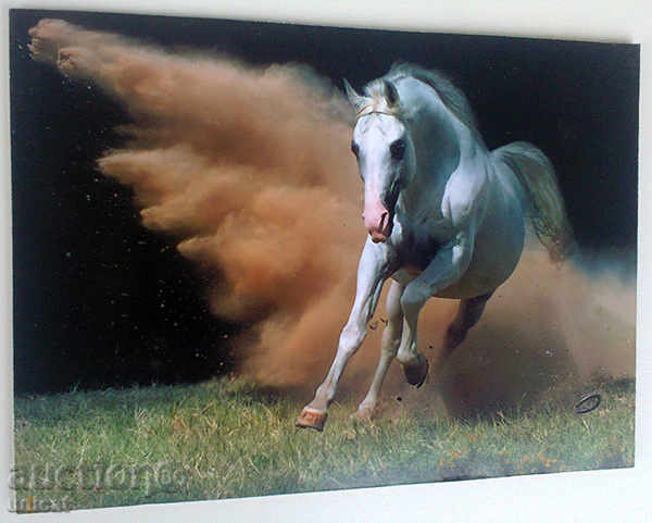 εικόνα άλογο