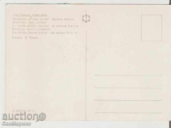 Carte poștală Bulgaria Pestera "Sueva gaura" 5 * cu preț 0.80 BGN | € 0.41 Carte poștală Bulgaria Pestera "Sueva gaura" 5 * cu preț 0.80 BGN | € 0.41