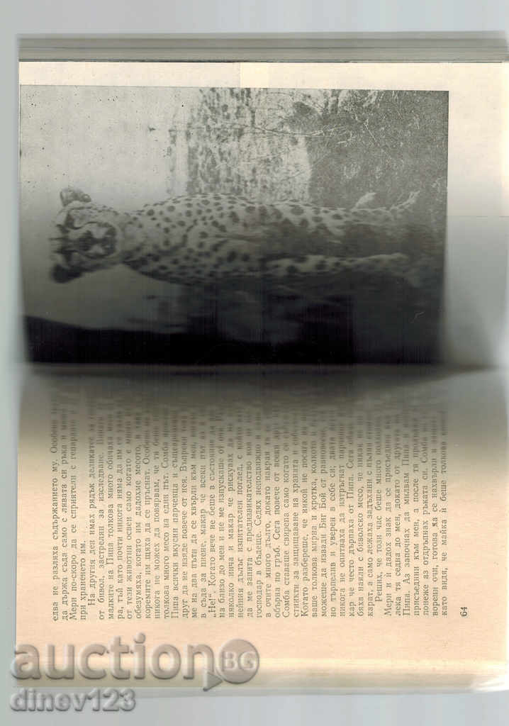 Auction THE PIPE'S LIFE - JOHN ADAMSON Auction THE PIPE'S LIFE - JOHN ADAMSON