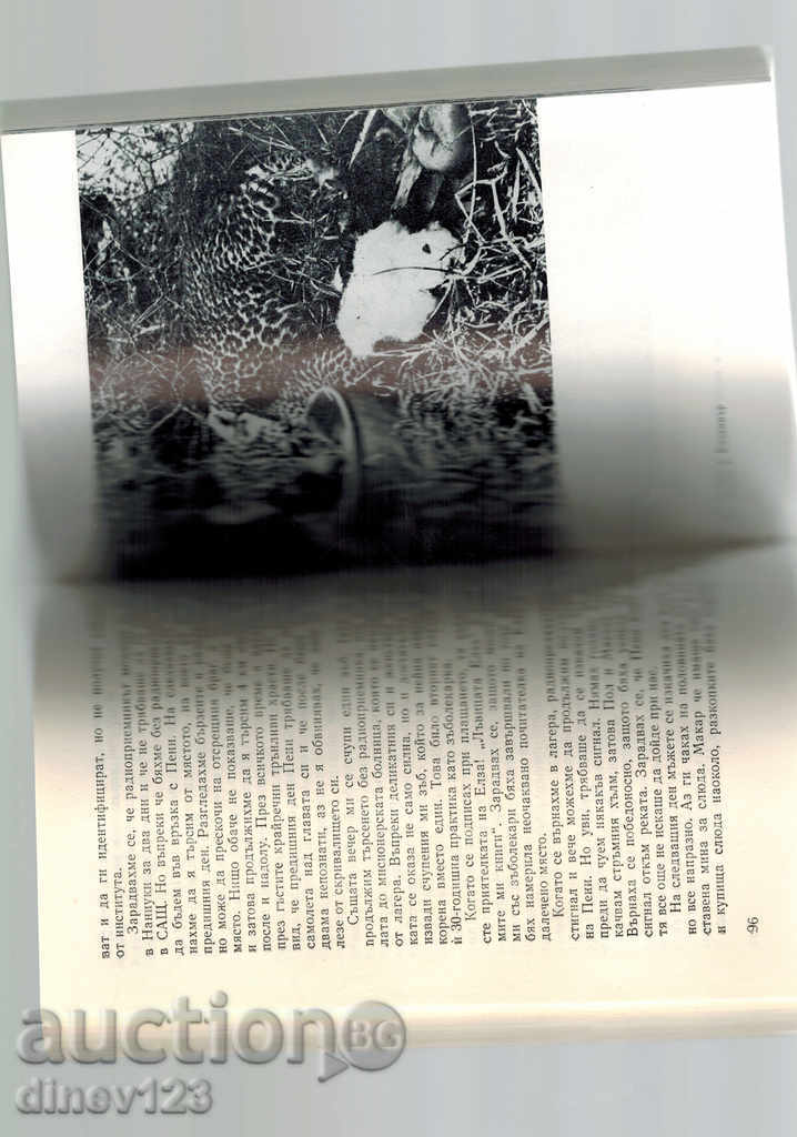 Auction THE SHADE'S QUEEN - JOHN ADAMSON Auction THE SHADE'S QUEEN - JOHN ADAMSON