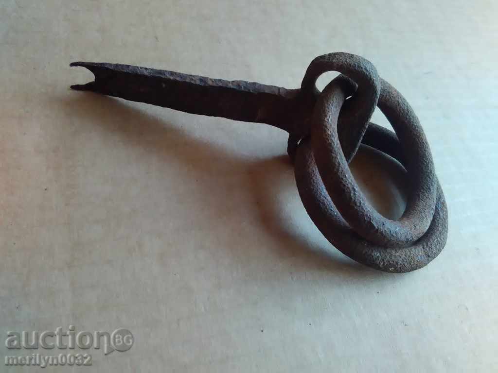 Metal rings, wrought iron for a wagon - 6