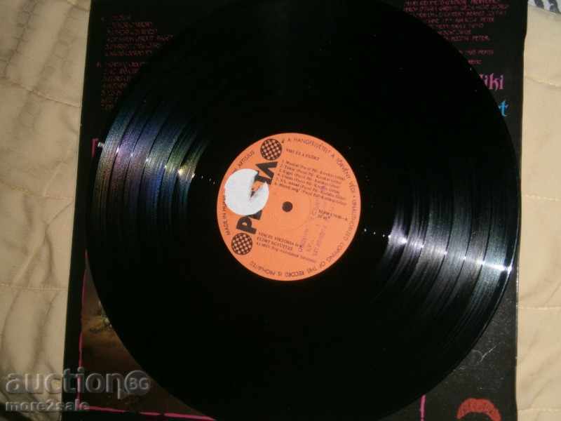 Auction VIKI & FLORT - PEPITA - large plate SLPM 17890 Auction VIKI & FLORT - PEPITA - large plate SLPM 17890