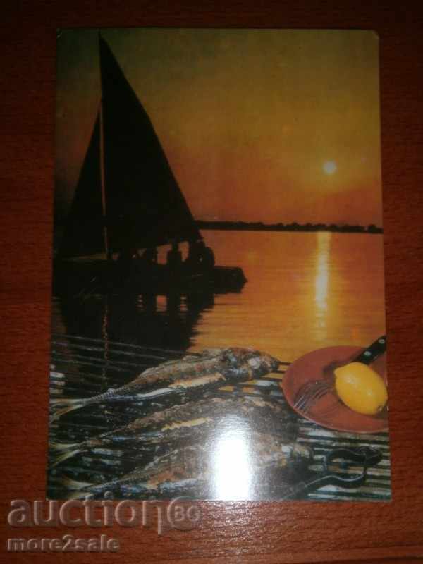 Postcard MARINE LANDSCAPE RECIPE FOR A LIFE OR SCURT SCUMP