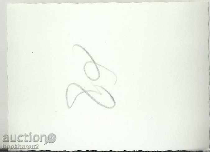 Old photo, small format, with cannon with price 1.00 BGN | € 0.51 Old photo, small format, with cannon with price 1.00 BGN | € 0.51