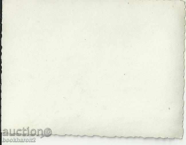 Old photo, small format, with oxen with price 1.00 BGN | € 0.51