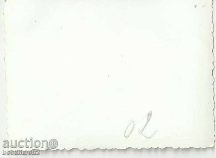 Old photo, small format, with sled with price 1.00 BGN | € 0.51 Old photo, small format, with sled with price 1.00 BGN | € 0.51