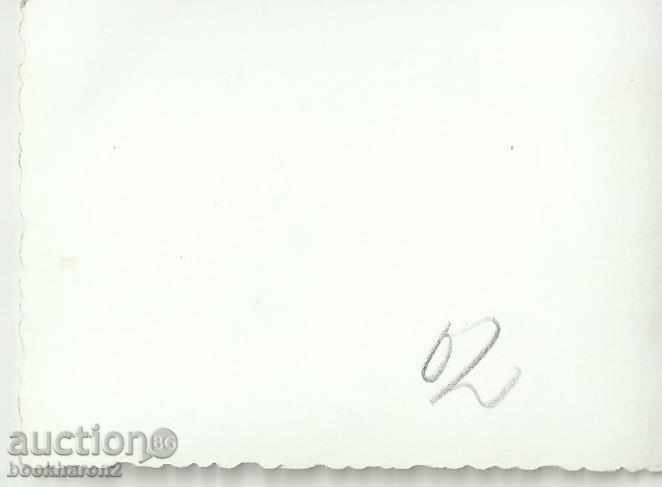 Old photo, small format, with sled with price 1.00 BGN | € 0.51 Old photo, small format, with sled with price 1.00 BGN | € 0.51