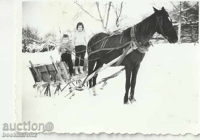 Old photo, small format, with sled