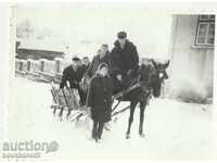 Old photo, small format, with sled