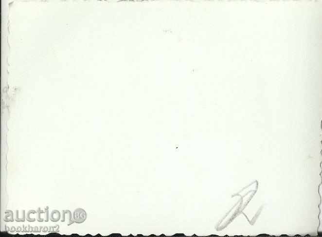 Old photo, small format, with sled with price 1.00 BGN | € 0.51