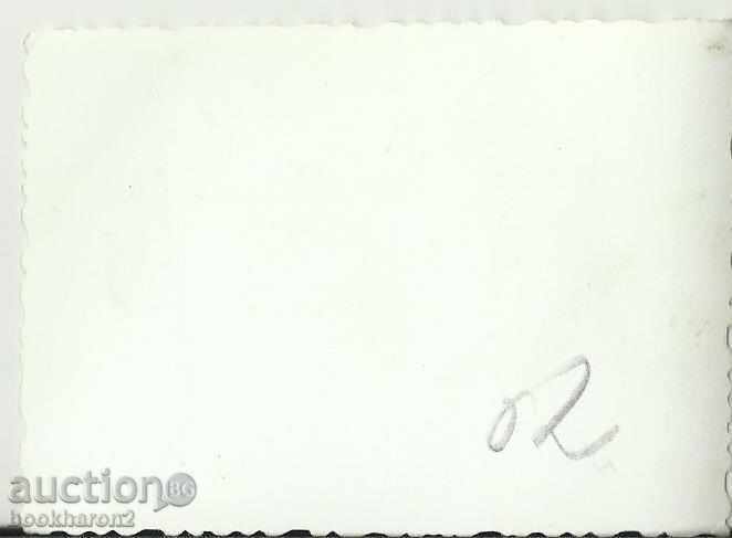 Old photo, small format, with sled with price 1.00 BGN | € 0.51