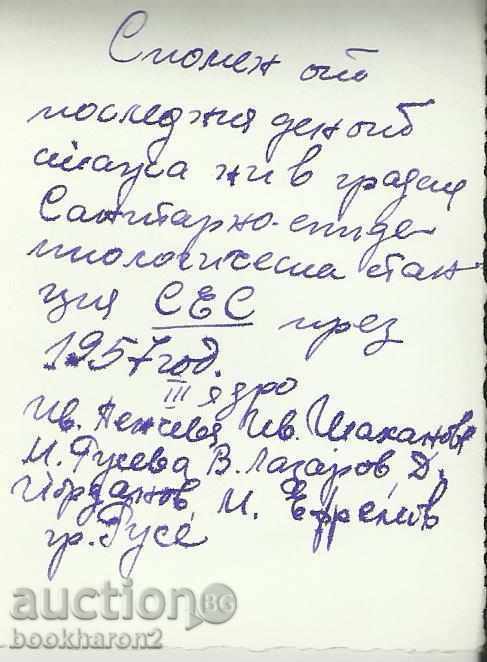 Old photo, small format, with a carriage with price 1.00 BGN | € 0.51 Old photo, small format, with a carriage with price 1.00 BGN | € 0.51