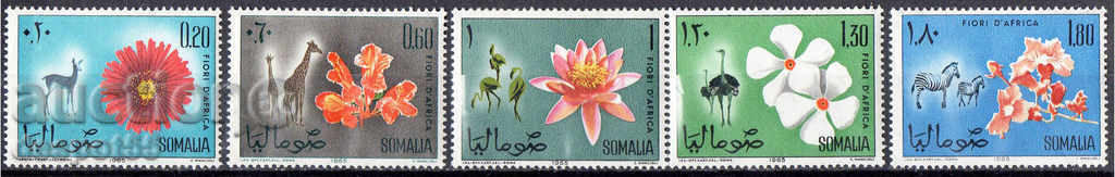 1965. Σομαλία. Σομαλοί χλωρίδα και πανίδα.