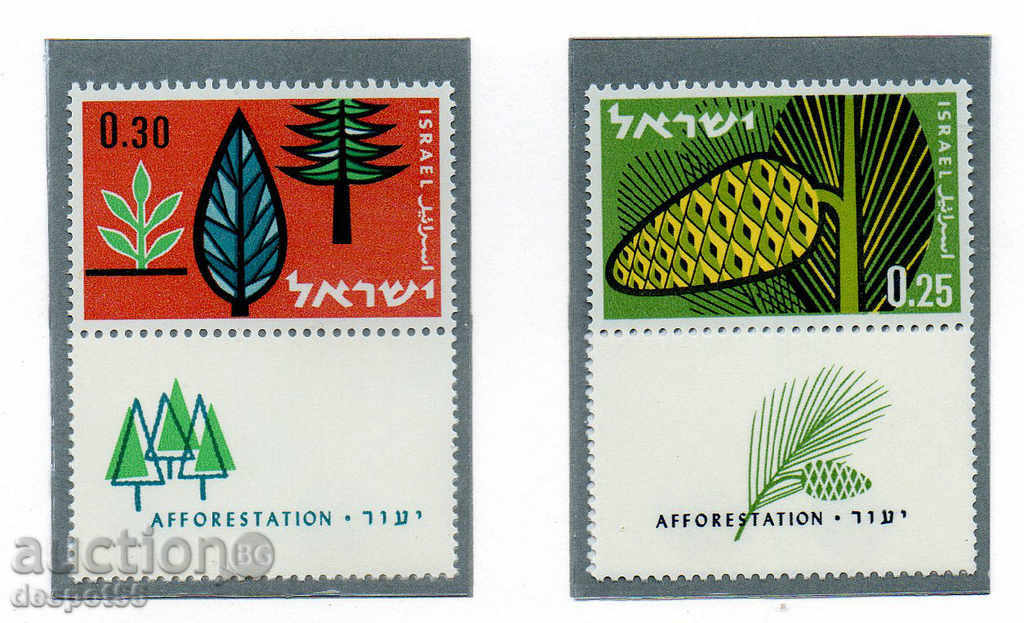 1961. Israel. Prospects in Afforestation ..