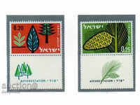 1961. Israel. Prospects in Afforestation ..