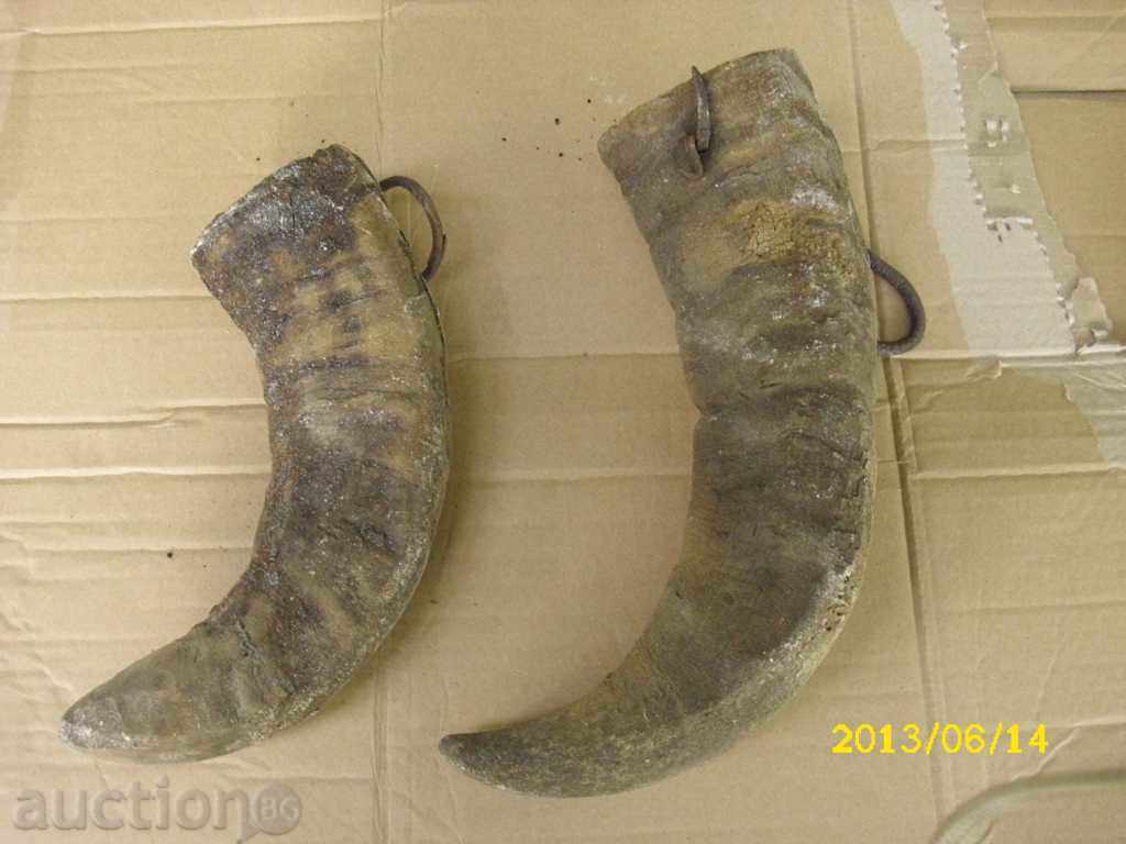 ROGA - BACKGROUND with price 65.00 BGN | € 33.23