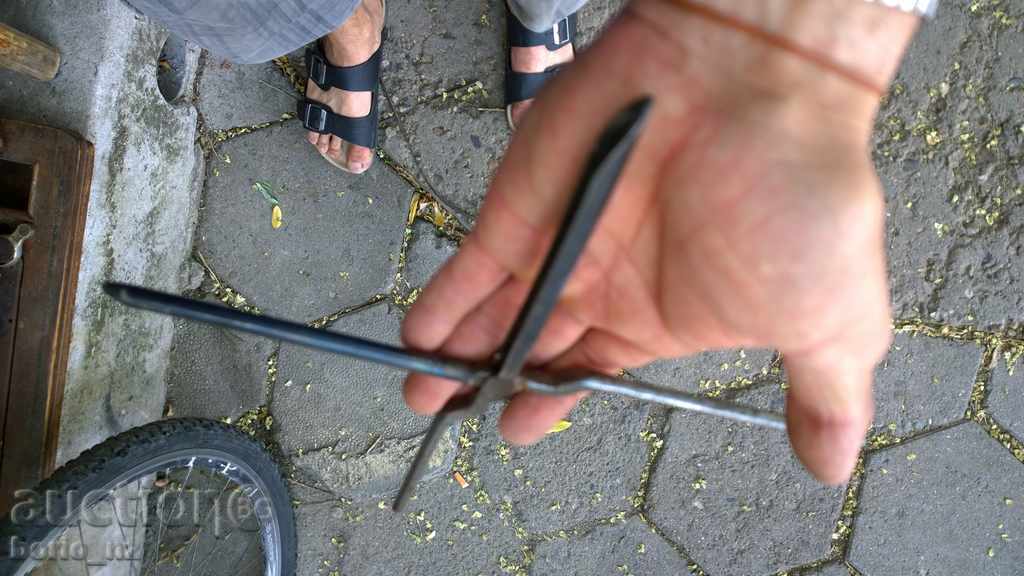 8509. STAR HORSE HORSE MASK MARKED MARSEL MARK - 5 8509. STAR HORSE HORSE MASK MARKED MARSEL MARK - 5