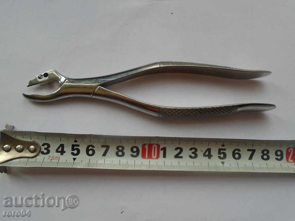 DENTAL MUSHROOMS with price 15.30 BGN | € 7.82 DENTAL MUSHROOMS with price 15.30 BGN | € 7.82