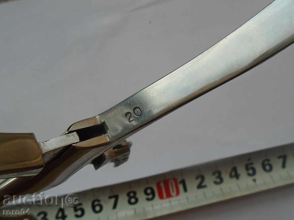 Auction DENTAL MUSHROOMS Auction DENTAL MUSHROOMS