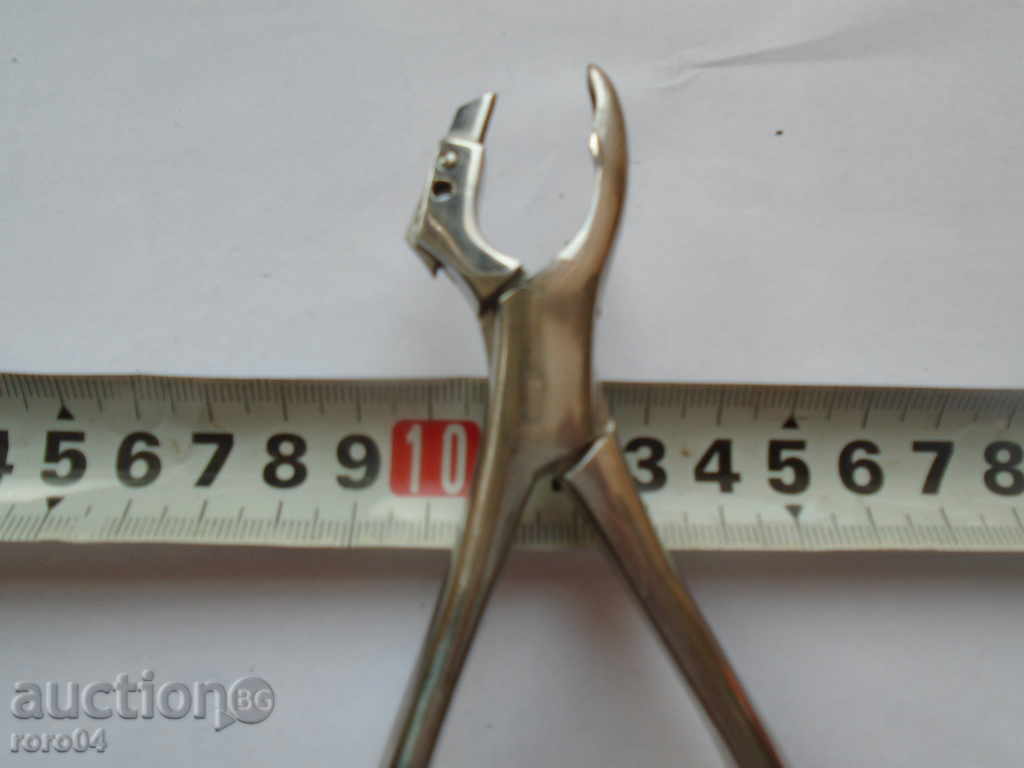 DENTAL MUSHROOMS - 6 DENTAL MUSHROOMS - 6